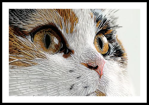 Plakat 60x40cm Nitkowany Kot na Arena.pl