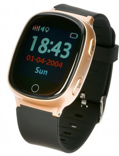 Garett Electronics GPS3 ZŁOTY na Arena.pl