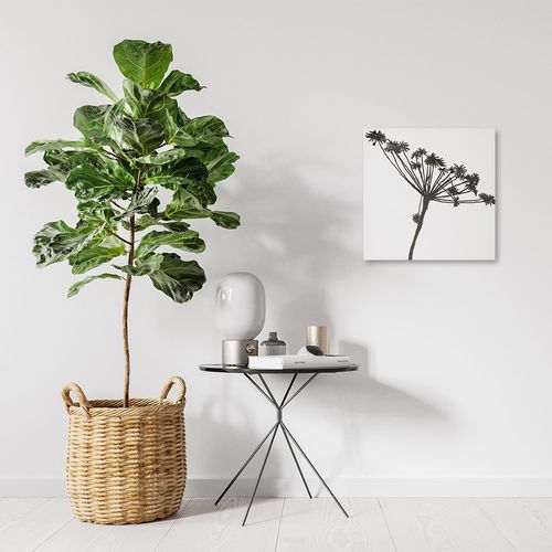 Deco Panel, Dmuchawiec biały 50x50 na Arena.pl