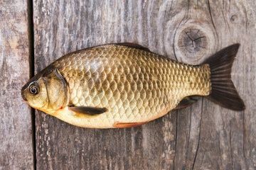 osmo pro method feeder dark pellet 2mm 1kg zanęta zdjęcie 10