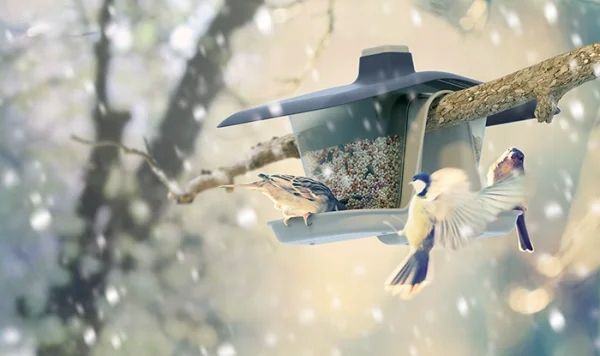 Karmnik dla ptaków - Birdyfeed double zdjęcie 5