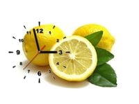 60CM 40CM ZEGAR OBRAZ CYTRYNY DRUK PŁÓTNO RAMA