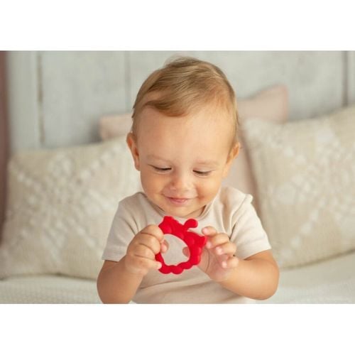 Gryzak truskawka GILIGUMS na Arena.pl