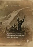 O powstaniu powiatów winnickiego, jampolskiego i mohylowskiego