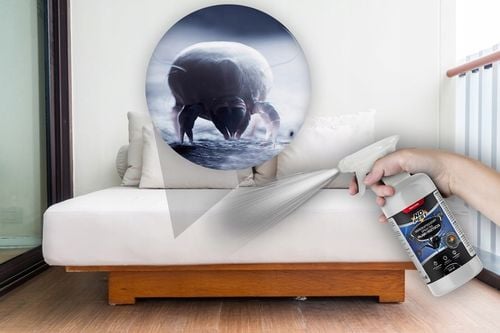 SPRAY OPRYSK PŁYN AEROZOL ŚRODEK NA PAJĄKI ROZTOCZA MIKROKAPSUŁKOWY NO na Arena.pl