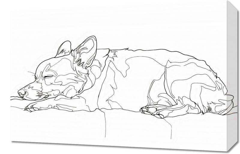 Obraz 60x40cm Śpiący Psiak zdjęcie 1