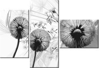 product-compare-58708828