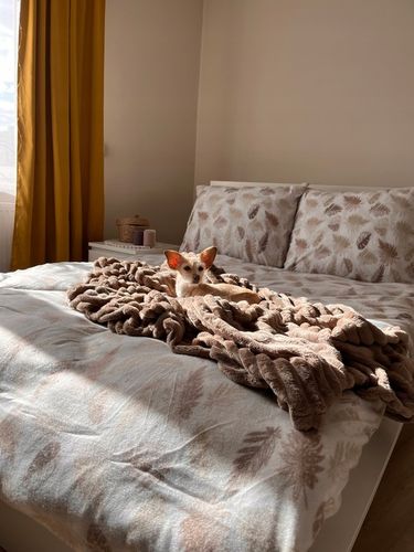 Komplet Pościeli Polarowej 160x200+2x 70/80 Ciepła Gruba Mack Home Liście na Arena.pl