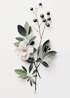 product-compare-59367096