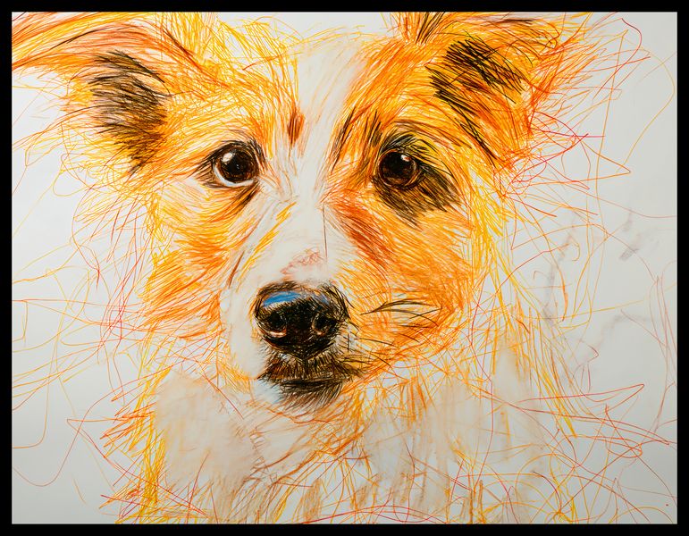 Plakat 65x50cm Uroczy Gość zdjęcie 2