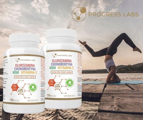 GLUKOZAMINA CHONDROITYNA MSM WITAMINA C STAWY 240k na Arena.pl