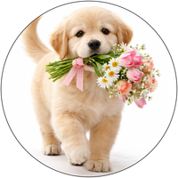 product-compare-62428255