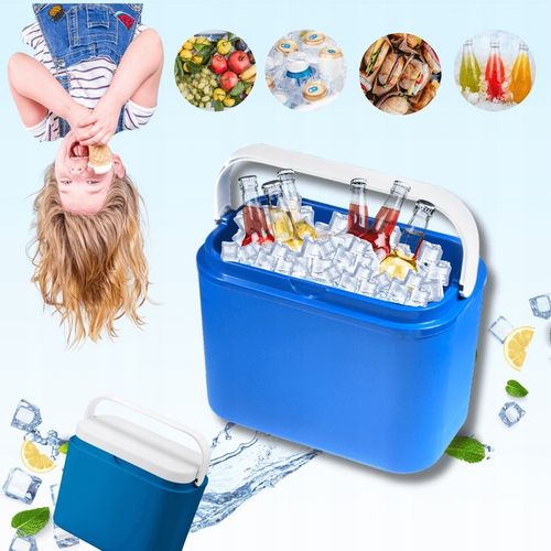 LODÓWKA TURYSTYCZNA 10L na WKŁADY MROŻĄCE do auta KAMPERA łodzi piknik na Arena.pl