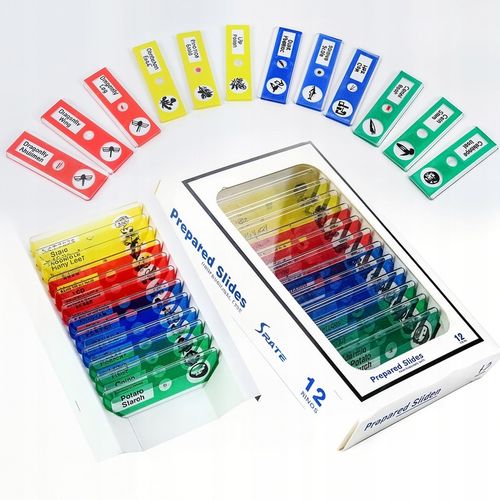 MIKROSKOP DLA DZIECI EDUKACYJNY 1200X +PREPARATY DO MIKROSKOPU ZESTAW 13szt na Arena.pl