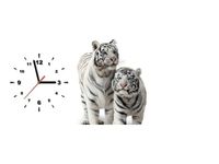 product-compare-58616737