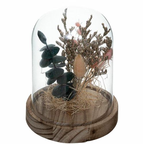 Suszone kwiaty pod kloszem House na Arena.pl