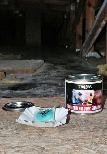 NAJMOCNIEJSZA TRUCIZNA NA DUŻE GRYZONIE STRONG na Arena.pl