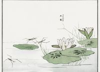 Plakat 55x40cm Nartniki w Stawie Morimoto Toko Japoński Vintage do Salonu