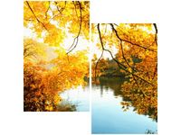 product-compare-58646786