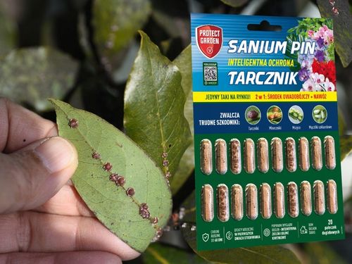 SANIUM PIN 2w1 PAŁECZKI DOGLEBOWE ziemiórki przędziorki wełnowce na Arena.pl