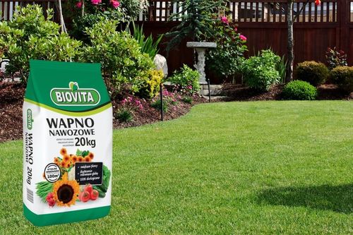 Wapno Nawozowe Pyliste Naturalne Źródło Wapnia dla Gleby 20kg Biovita na Arena.pl