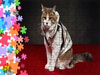Puzzle tradycyjne Zwierzęta - Kot