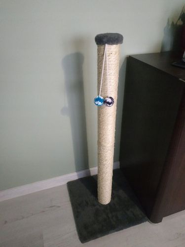 DRAPAK KOTA nr 03 , stopka 100 cm , DUŻY KOT na Arena.pl