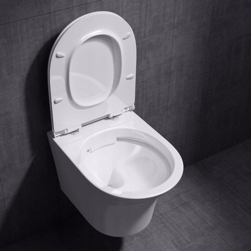 MISA WC RIMLESS - LEYDEN DOLORES na Arena.pl