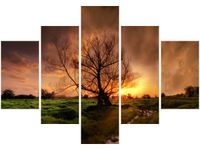 70 100CM OBRAZ 5 ELEM ROMANTYCZNY SPACER DRUK PŁÓTNO