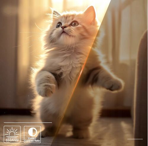 PROJEKTOR SMART MAGCUBIC MULTIMEDIALNY L018 4K 1080 p 650 ANSI 2025 na Arena.pl