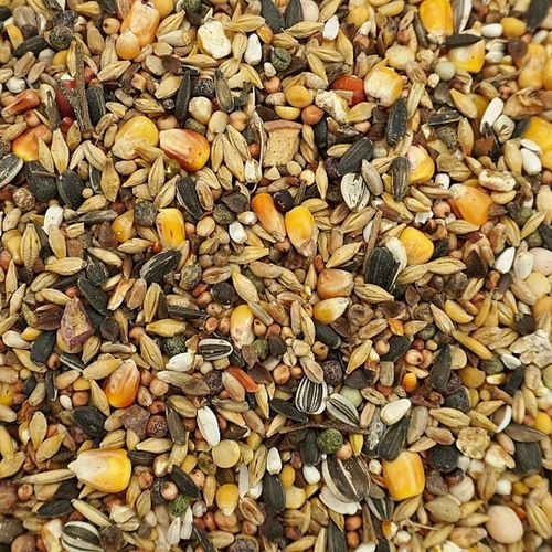 14kg Uniwersalna karma dla ptaków ziarno pokarm zimowy karmnik Champi na Arena.pl