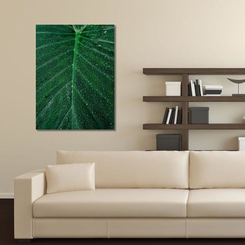 Deco Panel, Krople wody na liściu 2 40x50 na Arena.pl
