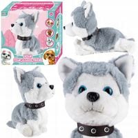 PIES PIESEK INTERAKTYWNY HUSKY REAGUJE NA DOTYK SZCZEKA SIADA