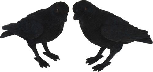 Kruk figurka kamienna na Arena.pl