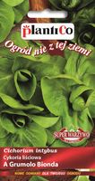NASIONA Cykoria Liściowa A Grumolo Bionda 2g PLANTICO Cykorii 404748