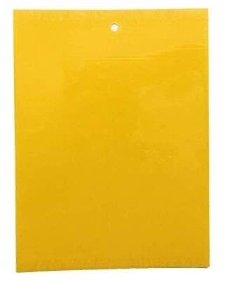 ŻÓŁTE TABLICE LEPOWE LEP NA NASIONNICĘ TRZEŚNIÓWKĘ DRZEWKA OWOCOWE A4 na Arena.pl