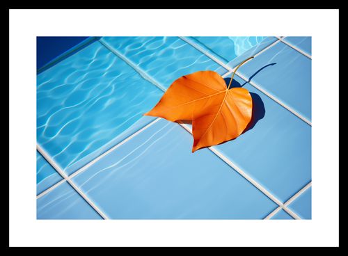 Plakat 30x20cm Liść przy Wodzie na Arena.pl