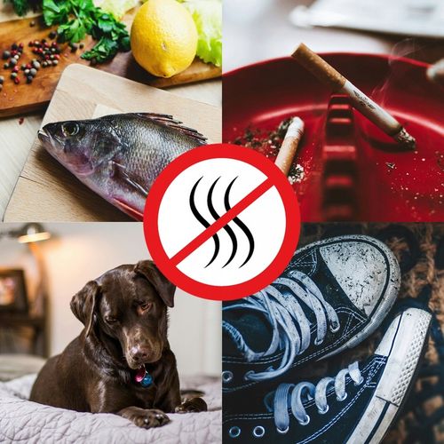 GENERATOR OZONU OZONATOR OCZYSZCZACZ CZASOMIERZ NEUTRALIZATOR ZAPACHU na Arena.pl