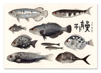 Plakat ryby rybki 61x91 cm