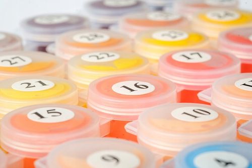 Obraz do MALOWANIA PO NUMERACH 40x50 Twoje-Hobby na Arena.pl