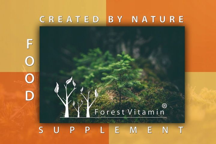 WITAMINA E FORMA NATURALNA ZDROWIE MŁODOŚĆ 100 kaps TOKOFEROL zdjęcie 4