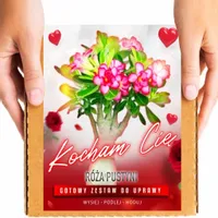 PREZENT NA WALENTYNKI RÓŻA PUSTYNI DLA NIEJ DLA NIEGO ZESTAW DO UPRAWY