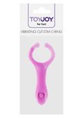 vibrating clit stim c ring purple
