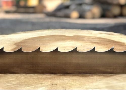 Brzeszczot Wood-Mizer StartCUT do traków taśmowych na Arena.pl