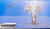 Fototapeta SŁOŃ IDĄCY DNEM OCEANU 200x130