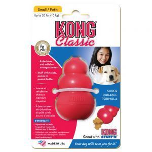 KONG Classic L na Arena.pl