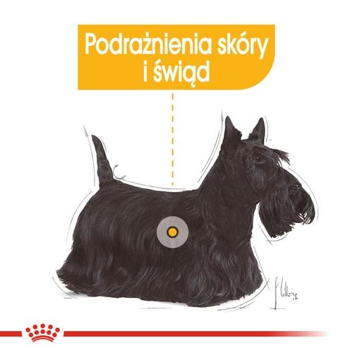 royal canin mini dermacomfort 8kg na Arena.pl