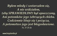 Magnes 44 na lodówkę Byłem młody i zestarzałem się