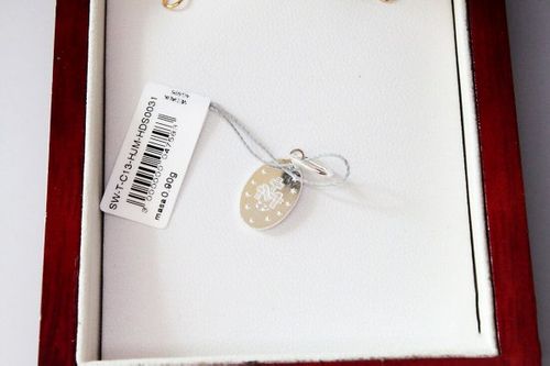 Srebrny wisiorek WSX3630 na Arena.pl