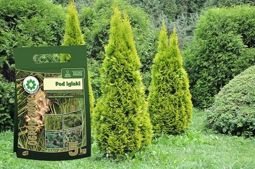 SIARKOPOL OGRÓD 2001 NAWÓZ DO TUI IGLAKÓW ŻYWOTNIKÓW CISÓW THUI JODEŁ 5KG na Arena.pl